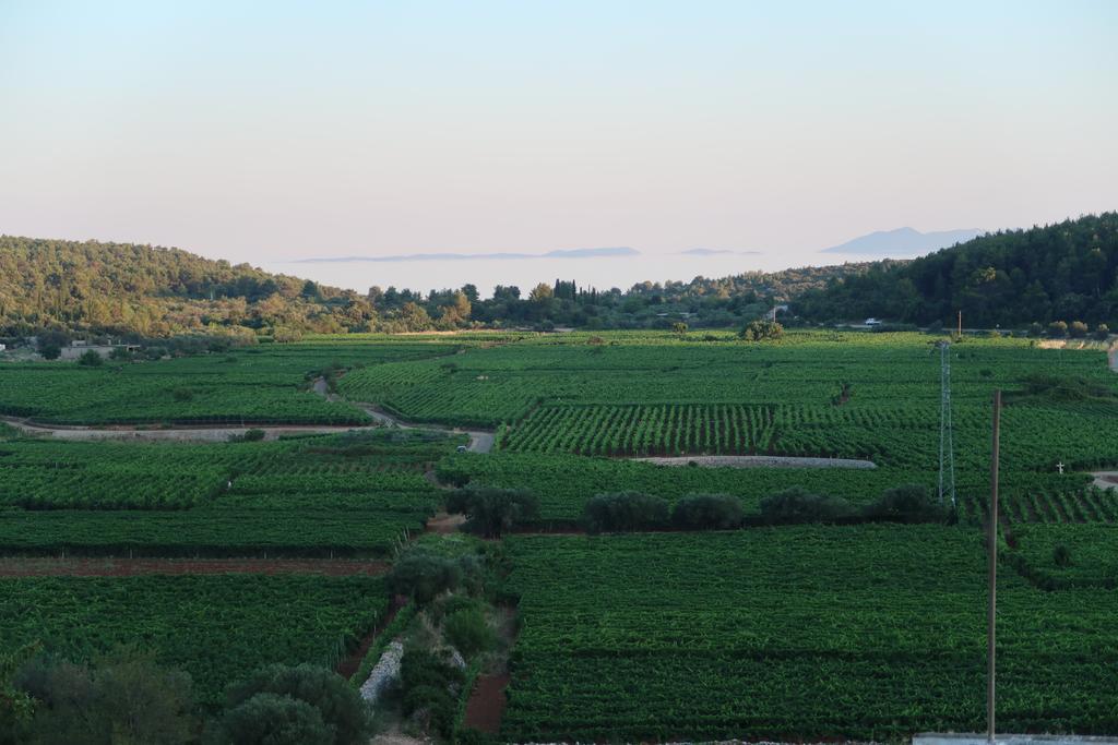 Villa Korculaholidays Zavalatica Zewnętrze zdjęcie